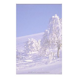 Tundra birch during winter Winter Custom Stationery