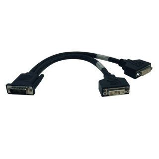 Tripp Lite P576 001 1 ft. Digital Media Systems Splitter Cable (DMS 59 to 2x DVI I F) 1 ft: Computers & Accessories