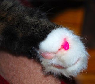 Cute Claws Cat Nail Caps (Pink, Medium (9 13 lbs)) : Nail Caps For Cats : Pet Supplies