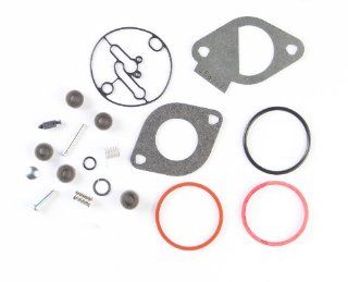 Briggs & Stratton 796184 Carburetor Overhaul Kit Replaces 698787 790032 : Lawn And Garden Tool Replacement Parts : Patio, Lawn & Garden