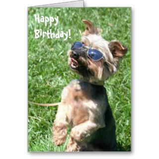 Happy Birthday Yorkshire Terrier Greeting card