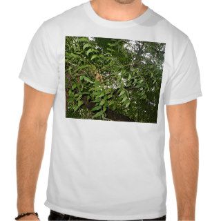 Z Neem Design Tshirts