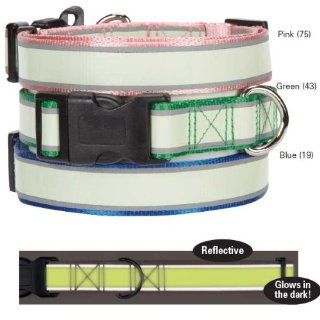 Casual Canine Glow Nylon Dog Collar, 14 to 20 Inch, Pink : Pet Collars : Pet Supplies