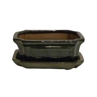Bonsai Tree Pot 6" Pot & Tray (609 S) from BonsaiOutlet : Bonsai Tools : Patio, Lawn & Garden