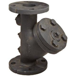 Flexicraft YIF Cast Iron Wye Strainer with Flange End, 2" ID x 9 7/8" Length: Industrial Plumbing Y Strainers: Industrial & Scientific