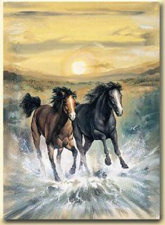 Wildlife Themed Chalet Casuals Soft Polyester 50" x 60" Throw Blanket   Horses Running In Surf At Sunset  