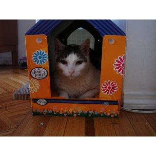 Cat Scratching Play House : Cat Houses And Condos : Pet Supplies