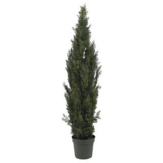 6 Ft Mini Cedar Pine Tree (Indoor/Outdoor)   Artificial Trees