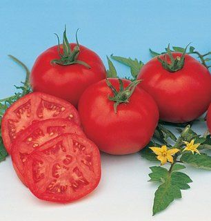 Tomato Moskvich D756 (Red Slicer) 50 Organic Heirloom Seeds by David's Garden Seeds : Tomato Plants : Patio, Lawn & Garden
