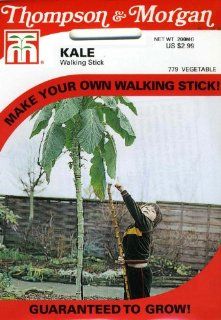 Thompson & Morgan 779 Kale Walking Stick Seed Packet : Lawn And Garden Hand Tools : Patio, Lawn & Garden