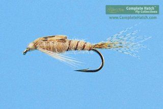 Light Cahill   Nymph : Dry Fishing Flies : Sports & Outdoors