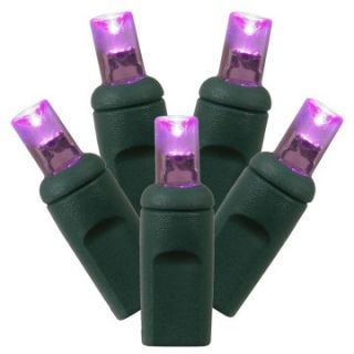Vickerman 100 ct. Purple Wide Angle LED Lights with Green Wire   Christmas Lights