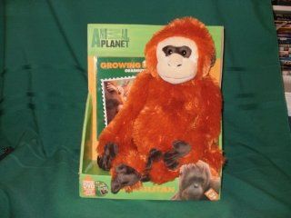 Animal Planet Growing up Orangutan Stuffed Toy with DVD Toys & Games