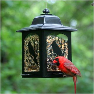 Perky Pet Birds and Berries Lantern Bird Feeder   Bird Feeders