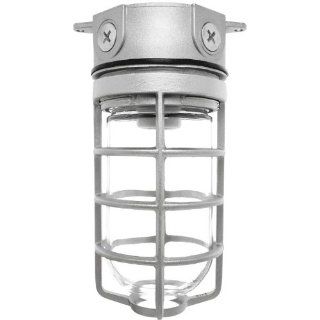 RAB Lighting VX100DG Vaporproof VX 4" Ceiling Box Mount with Glass Globe and Cast Guard, A19 Type, Aluminum, 150W Power, 1/2" Hub, Natural: Outdoor Lighting: Industrial & Scientific