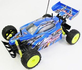 1:10 Scale Off Road Extreme Racing Buggy The Rogster Born To Race Electric RTR RC Buggy Remote Control BUGGY High Quality (Colors May Vary): Toys & Games