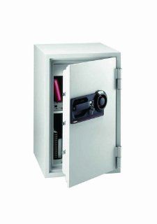 Commercial Combination Fire Safe in Light Gray: Office Products