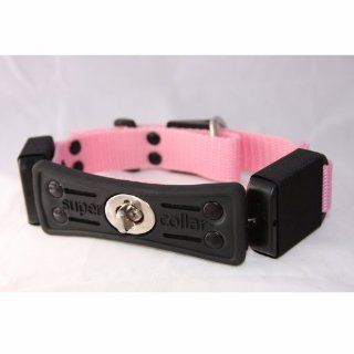 Collar with Built in Retractable Leash Size See Size Chart Below: Medium (13"   17"), Color: Pretty Pink : Pet Collars : Pet Supplies