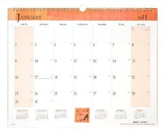 Day Runner Dated Calendar Refills, 15 x 12 Inches, White and Cream, 2011 (998 3 11) : Appointment Books And Planners : Office Products