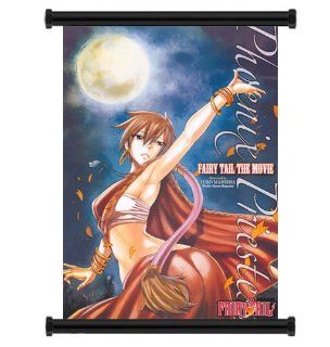 Fairy Tail Anime Fabric Wall Scroll Poster (16" x 22") Inches : Prints : Everything Else