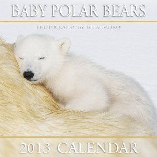 2013 Mini Baby Polar Bears: Bela Baliko Photography & Publishing In: 9781927064078: Books