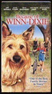 Because of Winn Dixie [VHS] Jeff Daniels Movies & TV
