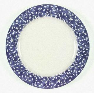 Mikasa Ardsley Blue Dinner Plate, Fine China Dinnerware   Intaglio, Blue Rim   W