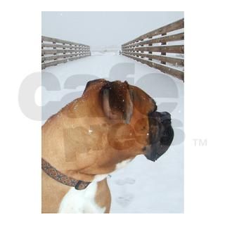 Gibson Sympathy Cards (Pk of 10) by savetheboxers