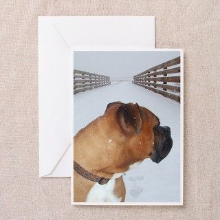 Gibson Sympathy Cards (Pk of 10) by savetheboxers