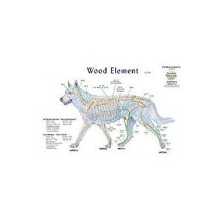 Canine 5 Element Meridian Chart Set of 4 Dog (Lake Forest Anatomicals Vet Models)Lake Forest Anatomicals Vet Models: TallGrass: Industrial & Scientific