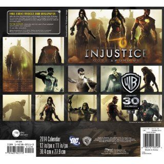 2014 Injustice Gods Among US Wall Calendar: Warner Bros Consumer Products: 9781423822110: Books