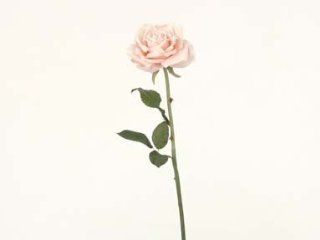 Artificial Silk Rose, 26.5" Light Pink, Premium Single Flower Stem  