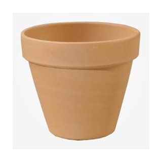 4" TC STD Clay Pot: Everything Else