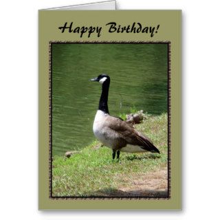 Happy Birthday Goose Cards