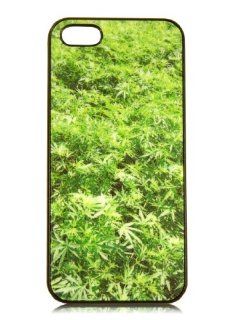 Marijuana Plant Farm Iphone 5 Black Hard Snap on Case: Cell Phones & Accessories