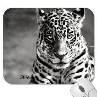 Mousepad   9.25" x 7.75" Designer Mouse Pads   Design: Animals   Wildlife   Lion   Tiger   Leopard (MPALI 158): Computers & Accessories