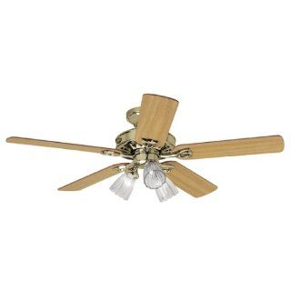 Hunter 22436 Sontera Three Light 52 Inch Five Blade Ceiling Fan, Bright Brass with Clear Globes    
