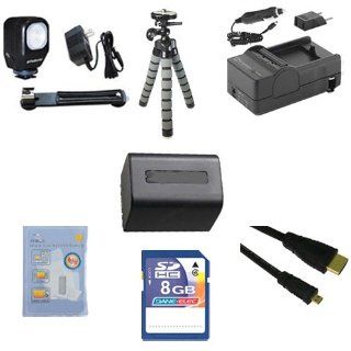 Sony HDR CX220 Camcorder Accessory Kit includes: SDNPFV70NEW Battery, SDM 109 Charger, KSD48GB Memory Card, HDMI6FMC AV & HDMI Cable, ZELCKSG Care & Cleaning, ZE VLK18 On Camera Lighting, GP 22 Tripod : Camera & Photo