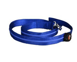 Aviditi AL107 L LED Lighted Dog Leash, Blue with Blue LED Lights, Large : Pet Leashes : Pet Supplies