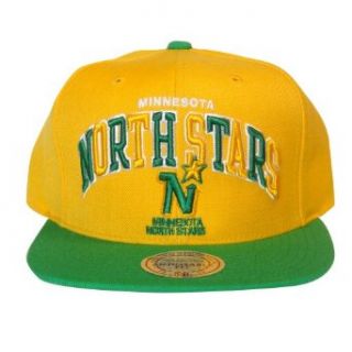 Minnesota North Stars Mitchell & Ness NHL Vintage Arch w/ Vintage Logo Tri pop Snapback Hat: Clothing