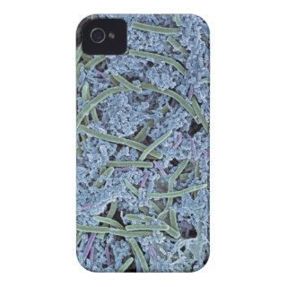 Dental plaque, coloured scanning electron iPhone 4 case