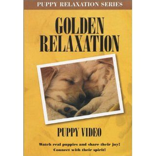 Golden Relaxation Puppy DVD: Golden Retriever Puppies, Janice Maxwell: Movies & TV