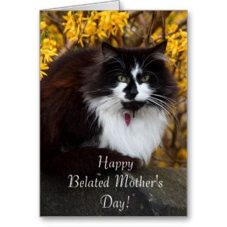 Happy Belated Mother's Day Cat greeting card