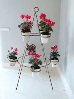 vintage plant pyramid by cooper rowe vintage living