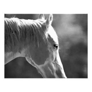 Black & White Pop Art Horse Personalized Invites