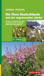 Schmeil/Fitschen: Die Flora Deutschlands und der angrenzenden Lnder: Ein Buch zum Bestimmen aller wildwachsenden und hufig kultivierten Gefpflanzen: Siegmund Seybold: Bücher