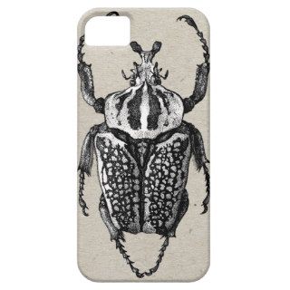 Goliath Beetle iPhone Cover iPhone 5 Case