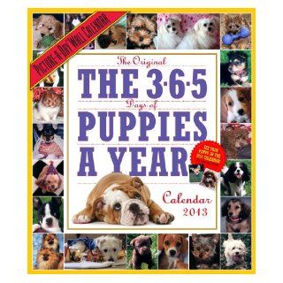 The 365 Puppies A Year 2013 Wall Calendar: Workman Publishing: 9780761167099: Books