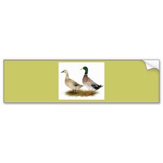 Ducks:  Silver Welsh Harlequin Bumper Sticker