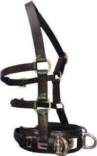 Full Size Horse Leather Lunging Cavesson with Bit Straps. Heavy Duty Steel Rings. Padded Noseband. Double Throat latch Design Keeps it Stable on Horse's Head. Probably the Best Leather Lunge Cavesson Available for Horses.  Horse Halters  Sports &